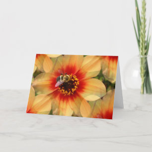 Biene auf Dahlia Karte