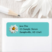 Biene auf Daisy Alaskan Summer Nature Foto (Insitu)