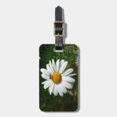 Biene auf Daisy Alaskan Summer Nature Foto Gepäckanhänger (Vorderseite vertikal)