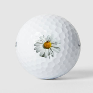 Biene auf Daisy Alaskan Summer Nature Foto Golfball