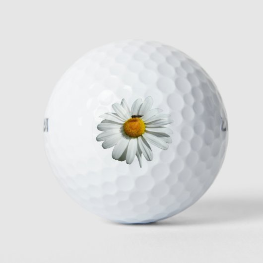 Biene auf Daisy Alaskan Summer Nature Foto Golfball (Vorderseite)