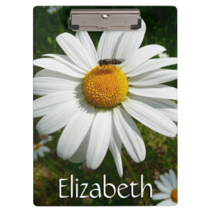 Biene auf Daisy Alaskan Summer Nature Foto Klemmbrett