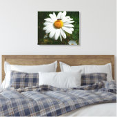Biene auf Daisy Alaskan Summer Nature Foto Leinwanddruck (Insitu (Schlafzimmer))