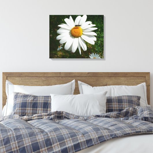 Biene auf Daisy Alaskan Summer Nature Foto Leinwanddruck (Insitu (Schlafzimmer))