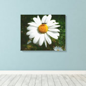 Biene auf Daisy Alaskan Summer Nature Foto Leinwanddruck (Insitu (Holzboden))
