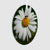 Biene auf Daisy Alaskan Summer Nature Foto Ornament (Vorderseite)