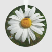 Biene auf Daisy Alaskan Summer Nature Foto Ornament (Rückseite)