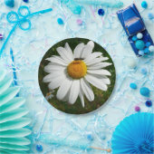 Biene auf Daisy Alaskan Summer Nature Foto Pappteller (Party)