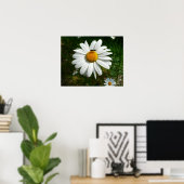 Biene auf Daisy Alaskan Summer Nature Foto Poster (Heimbüro)