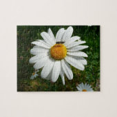 Biene auf Daisy Alaskan Summer Nature Foto Puzzle (Horizontal)