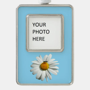 Biene auf Daisy Alaskan Summer Nature Foto Rahmen-Ornament Silber