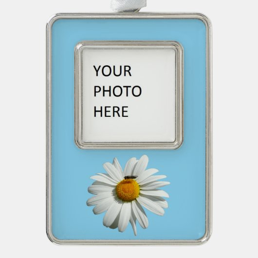 Biene auf Daisy Alaskan Summer Nature Foto Rahmen-Ornament Silber (Vorderseite)