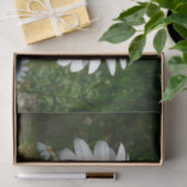 Biene auf Daisy Alaskan Summer Nature Foto Seidenpapier (Geschenk)