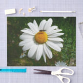 Biene auf Daisy Alaskan Summer Nature Foto Seidenpapier (Handwerk)