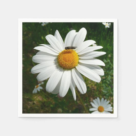 Biene auf Daisy Alaskan Summer Nature Foto Serviette (Vorderseite)