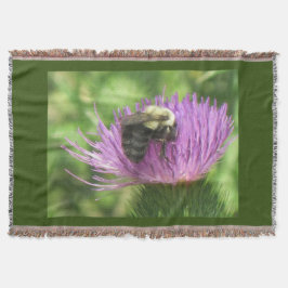 Biene auf dem Siegel Decke