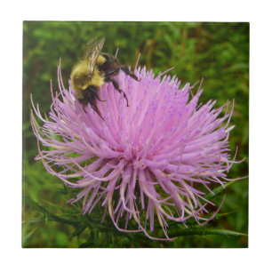 Biene auf der Blume Thistle Nature Fliese