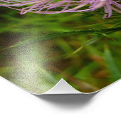 Biene auf der Blume Thistle Nature Fotodruck (Ecke)