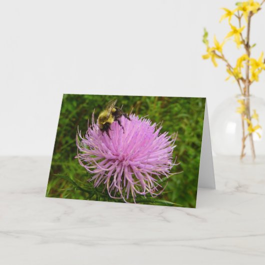Biene auf der Blume Thistle Nature Karte (Gelbe Blume)