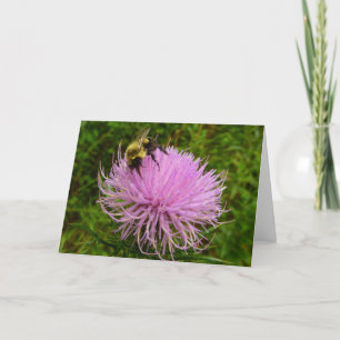 Biene auf der Blume Thistle Nature Karte
