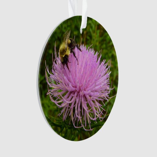 Biene auf der Blume Thistle Nature Ornament (Vorderseite)