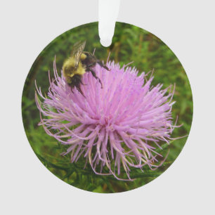 Biene auf der Blume Thistle Nature Ornament