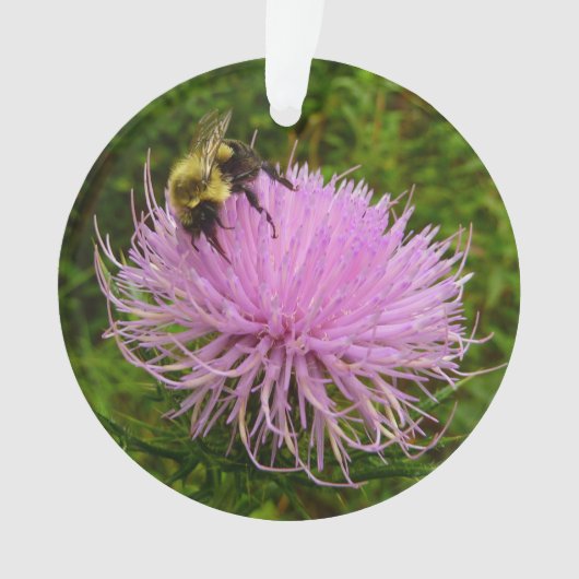 Biene auf der Blume Thistle Nature Ornament (Vorderseite)