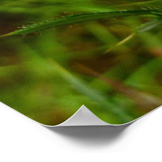 Biene auf der Blume Thistle Nature Poster (Ecke)