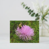 Biene auf der Blume Thistle Nature Postkarte (Stehend Vorderseite)
