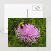 Biene auf der Blume Thistle Nature Postkarte (Vorne/Hinten)
