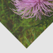 Biene auf der Blume Thistle Nature Seidenpapier (Ausschnitt)