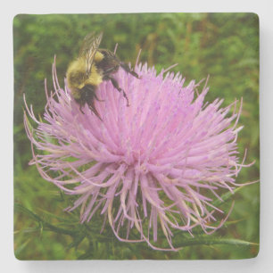 Biene auf der Blume Thistle Nature Steinuntersetzer