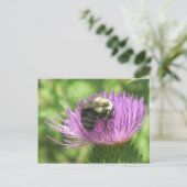 Biene auf der Spitze Postkarte (Stehend Vorderseite)