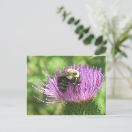 Biene auf der Spitze Postkarte (Stehend Vorderseite)