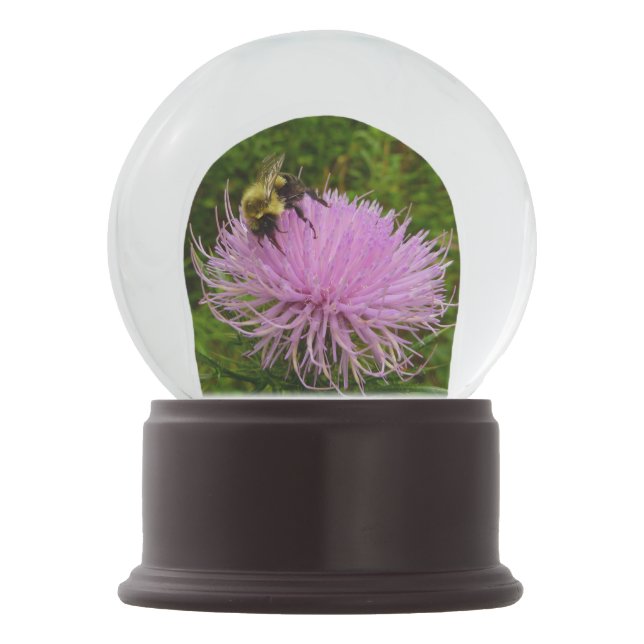 Biene auf der Thistle-Blume Schneekugel (Vorderseite)