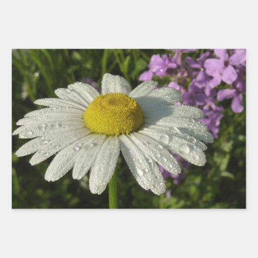 Biene auf Distel Geschenkpapier Set (Vorderseite 2)