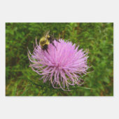 Biene auf Distel Geschenkpapier Set (Vorderseite)