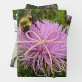Biene auf Distel Geschenkpapier Set (Beispiel)