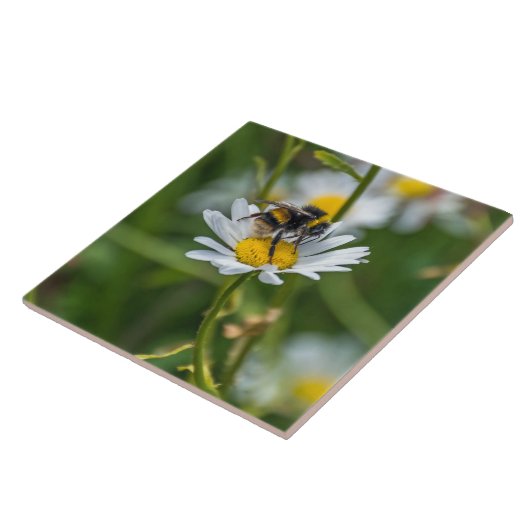Biene auf einem Disy View Keramik Fliesen (Seite)