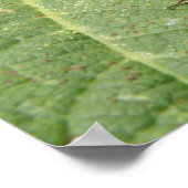 Biene auf einem Hollyhock-Blatt Print Poster (Ecke)