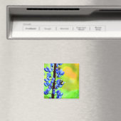 Biene auf einem Lupin-Foto Magnet (In Situ (Geschirrspüler))