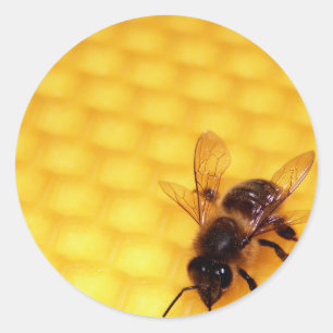 Biene auf einem Wachs Runder Aufkleber
