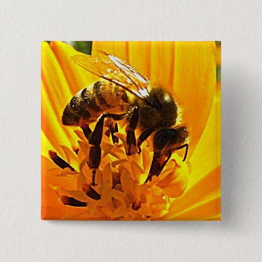 Biene auf einer Blume Button (Vorderseite)