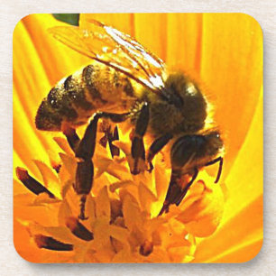 Biene auf einer Blume Getränkeuntersetzer