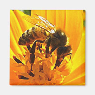 Biene auf einer Blume Magnet
