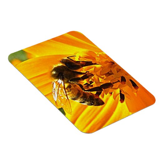 Biene auf einer Blume Magnet (Rechte Seite)