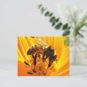 Biene auf einer Blume Postkarte (Stehend Vorderseite)