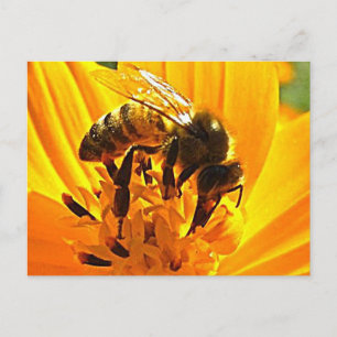 Biene auf einer Blume Postkarte