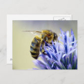Biene auf einer Blume Postkarte (Vorne/Hinten)