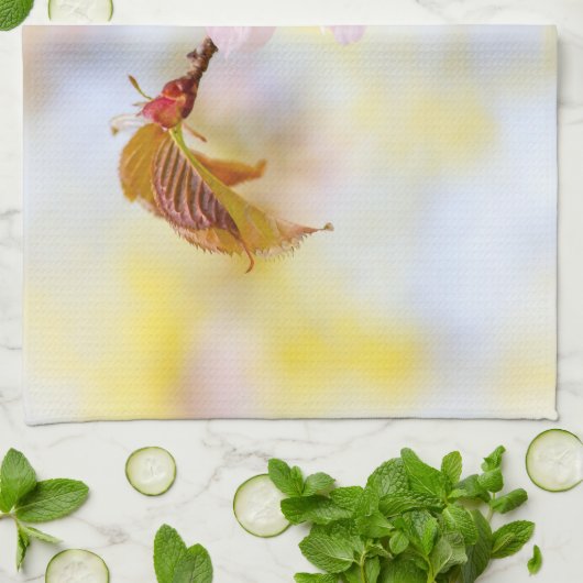 Biene auf einer Kirsche-Blume Handtuch (Gefaltet)